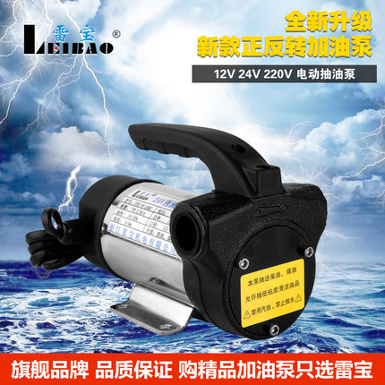 雷宝小型12V 24V直流加油泵220V电动柴油自吸泵 电瓶抽油泵抽油机