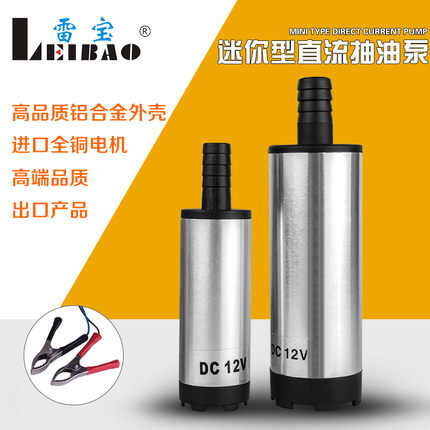 雷宝便捷式12V24V直流潜水泵车载点烟器抽油泵小水泵电动输油泵